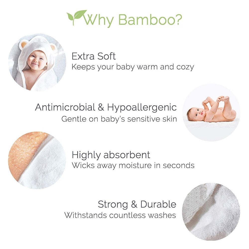 Bamboo Baby Bear