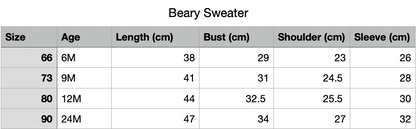 Beary Sweater