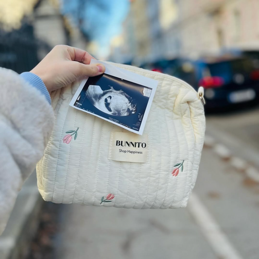 Luxe Mom Bag Organizer