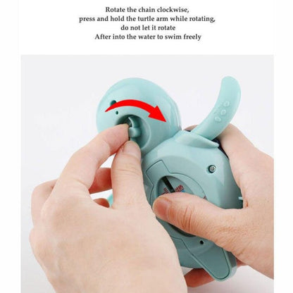 Turtle Thermometer